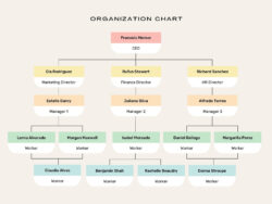 Free Editable Functional Organizational Structure Chart Template Word