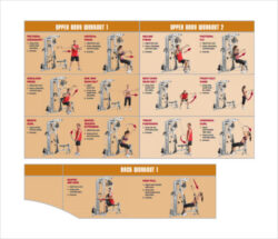 Free Editable Weight Lifting Workout Chart Template Excel