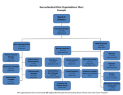 Free  Home Care Organizational Chart Template  Sample