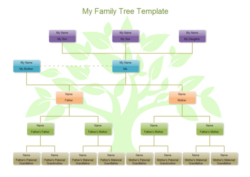 Free Printable Tree Chart Graphic Organizer Template Doc Sample