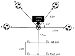 Free  Softball 10 Position Chart Template Pdf