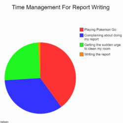 Free  Time Management Pie Chart Template Pdf Sample