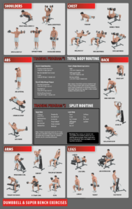 Free  Weight Lifting Workout Chart Template