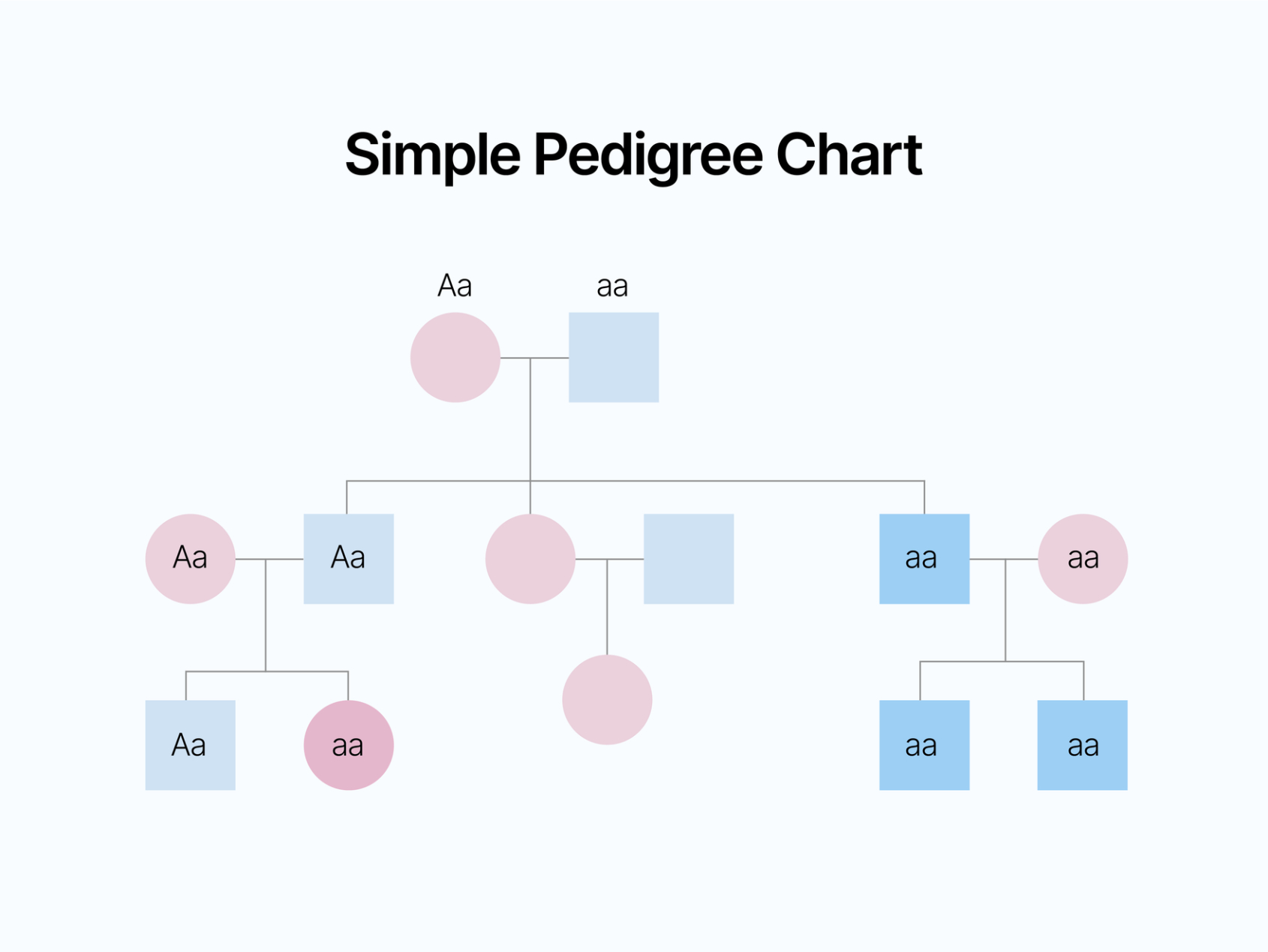 Printable 6 Generation Pedigree Chart Template Doc Sample