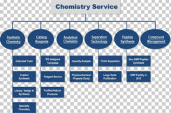 Printable Cross Functional Organizational Chart Template Doc