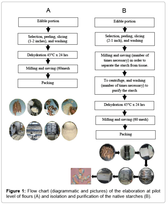 Printable Food Production Flow Chart Template Excel Sample