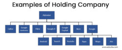 Printable Holding Company Structure Chart Template Pdf Sample