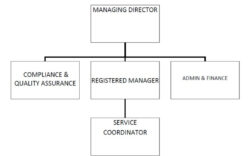 Printable Home Care Organizational Chart Template Doc Sample