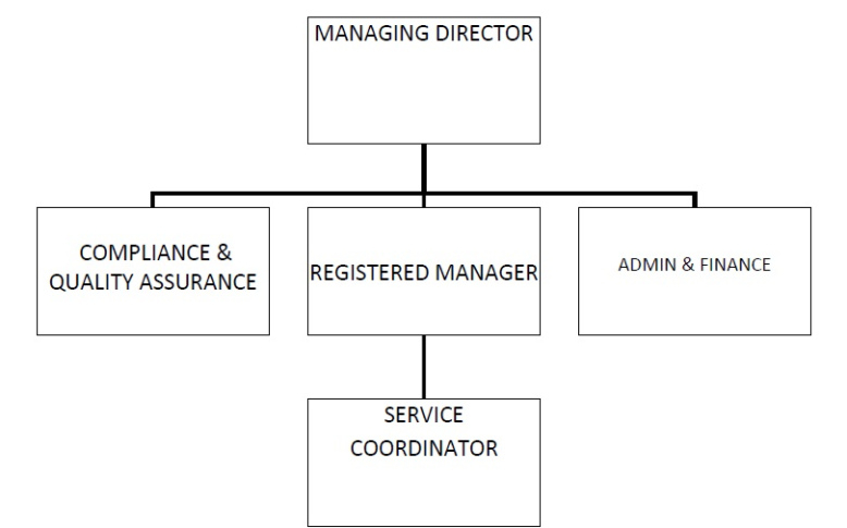 Printable Home Care Organizational Chart Template Doc Sample