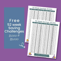 Saving Money Challenge Chart Template Excel