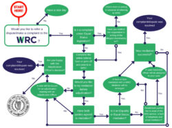 Editable Customer Complaint Flow Chart Template Excel