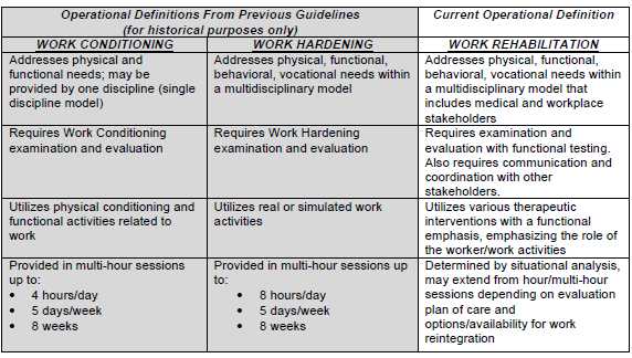 Work Conditioning Evaluation Template - Work Conditioning Evaluation Template 