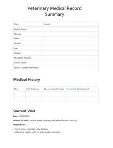 Veterinary Medical Record Summary Template